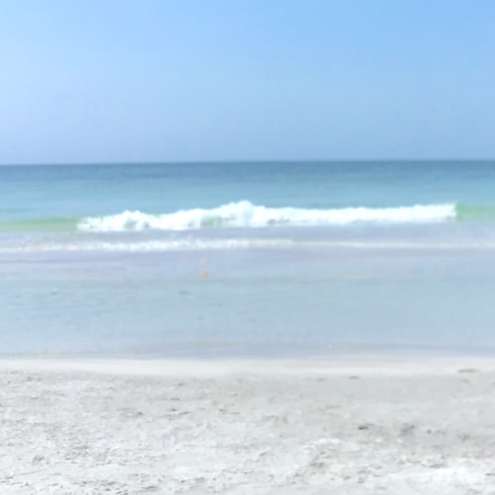 Meet your Posher, Bella